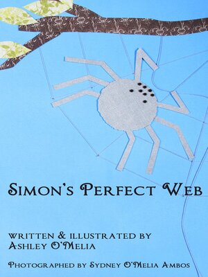 cover image of Simon's Perfect Web